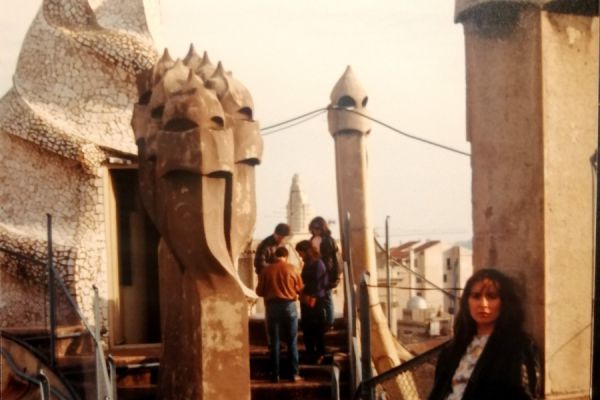 LAS AZOTEAS DE LAS CASAS DE GAUDÍ LAS AZOTEAS DE LAS CASAS DE GAUDÍ