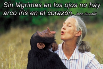 MADRID CAPITAL  ANIMALISTA  2016