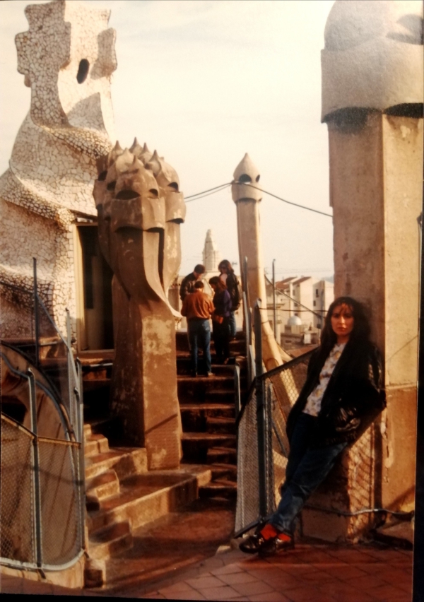 LAS AZOTEAS DE LAS CASAS DE GAUDÍ