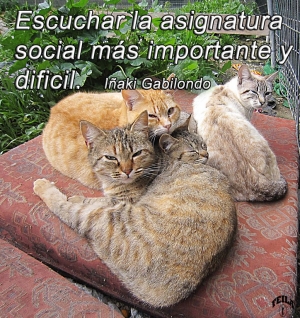 !NO ME OIGAS, ESCÚCHAME !