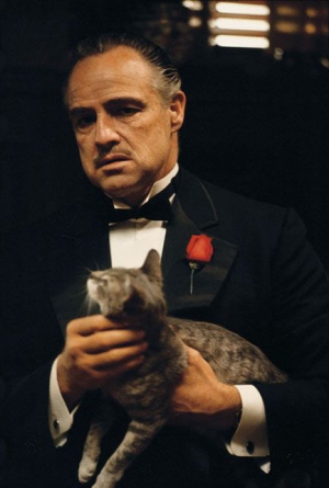 2  MICRORRELATOS  SOBRE  &quot;EL  PADRINO&quot;