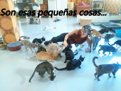 SON ESAS PEQUEÑAS COSAS...